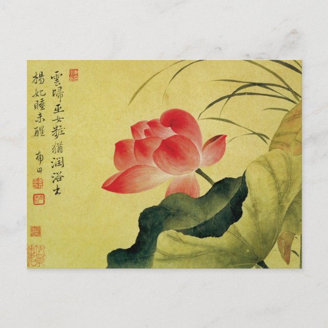 Yun Shoupings Lotus-Blume Postkarte (Vorderseite)