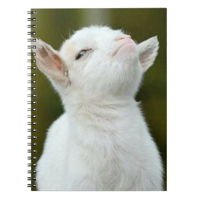 Yup Notizblock (Vorderseite)