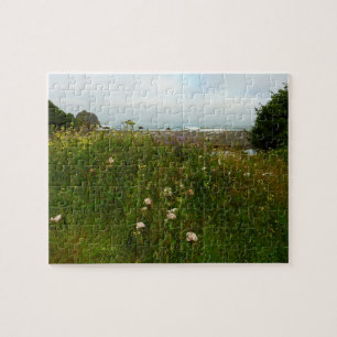 Yurok Loop Trail im Redwood Nationalpark