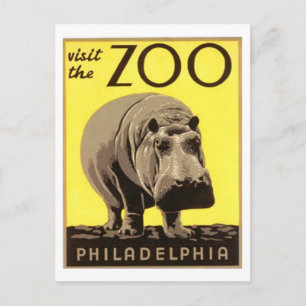 Z00 - Hippo Postkarte