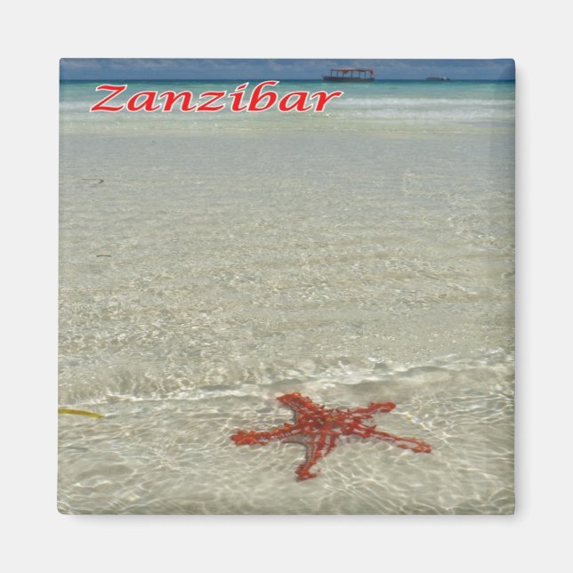 Z011 ZANZIBAR, Starfish, Tansania, Afrika, Kühlsch Magnet (Vorne)