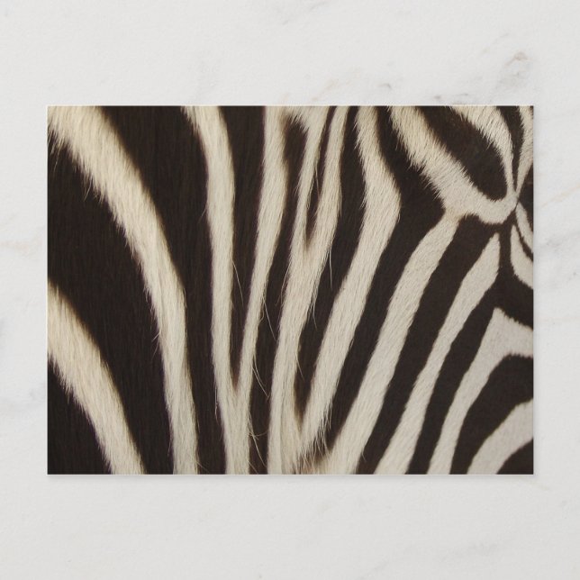 Z Stripes Postkarte (Vorderseite)