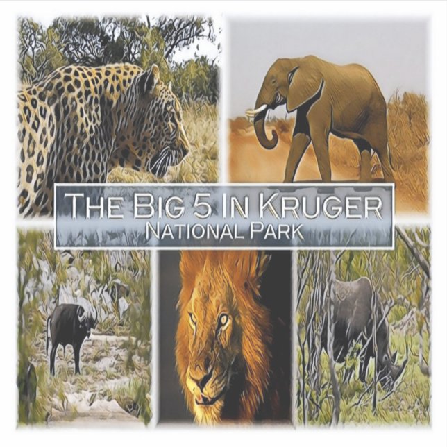 ZA * SÜDAFRIKA - DER GROSSE 5 IN KRUGER N.P. AUFKLEBER (Vorderseite)