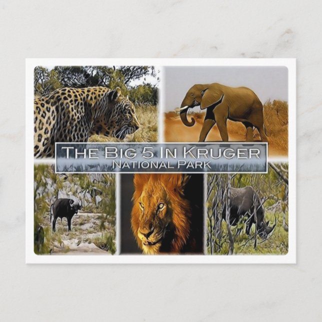ZA * SÜDAFRIKA - DER GROSSE 5 IN KRUGER N.P. POSTKARTE (Vorderseite)