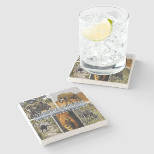 ZA * SÜDAFRIKA - DER GROSSE 5 IN KRUGER N.P. STEINUNTERSETZER