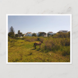 Zahara de los Atunes (Spanien) Postkarte