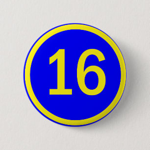 Zahl 16 in einem Kreis Button