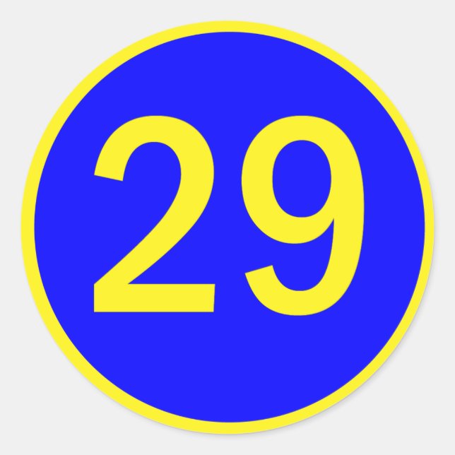 Zahl 29 in einem Kreis Runder Aufkleber (Vorderseite)