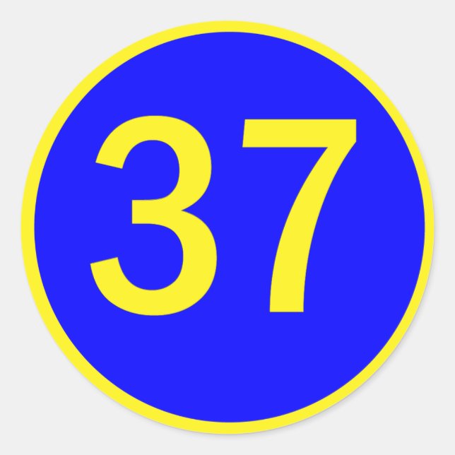 Zahl 37 in einem Kreis Runder Aufkleber (Vorderseite)