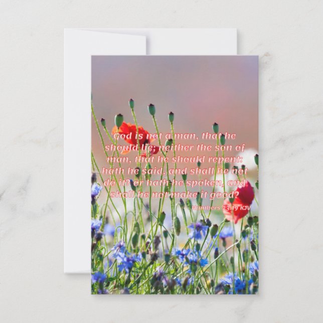 Zahlen 23:19 KJV Bible Verse Pic Flat Begrüßung Karte (Vorderseite)