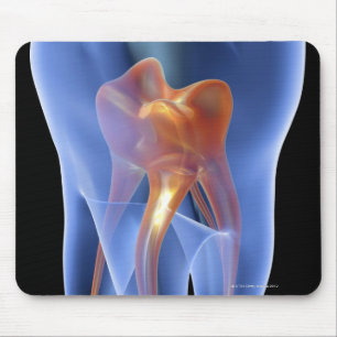 Zahn, transparenter Querschnitt eines Molars Mousepad