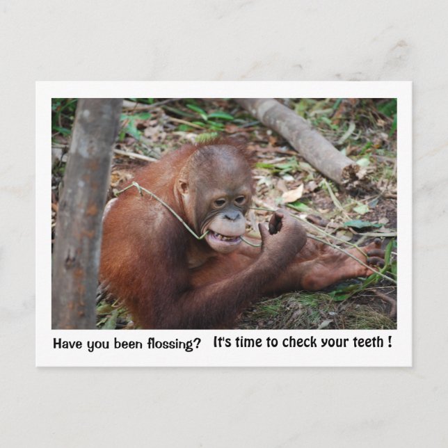 Zahnärztliche Erinnerung Postkarte (Vorderseite)