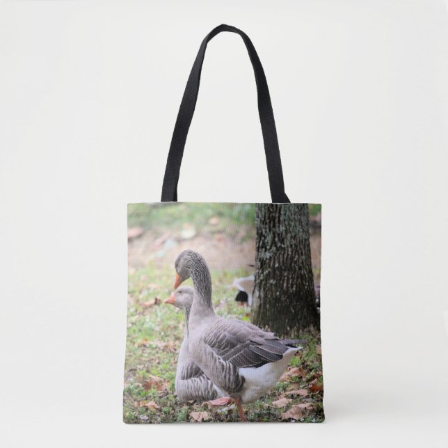Zahnfleischtasche Tasche (Vorderseite)