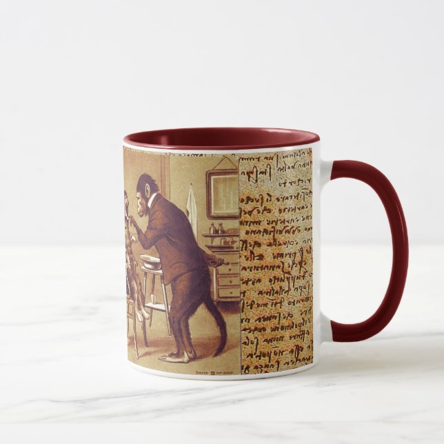 ZAHNKLINIE, ZAHNWASSERKÖRPER UND KATZSCHIRM TASSE (Rechts)
