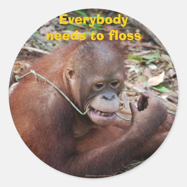 Zahnpflegesticker Runder Aufkleber (Vorderseite)