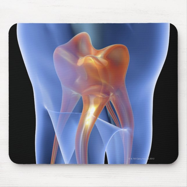 Zahnseide, durchsichtiger Querschnitt eines Molars Mousepad (Vorne)