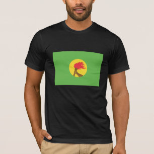 Zaire-Flagge T-Shirt