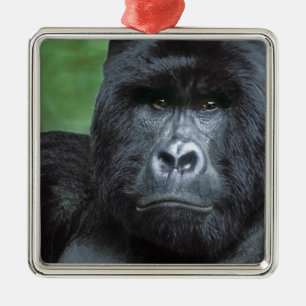 Zaire, Virungas Nationalpark. Portrait Ornament Aus Metall