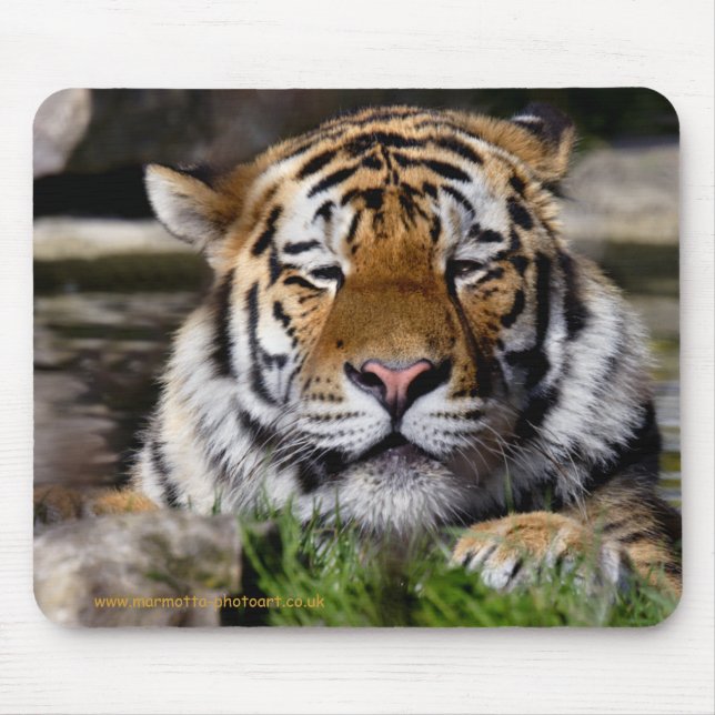 Zambar Tiger Mousemat Mousepad (Vorne)