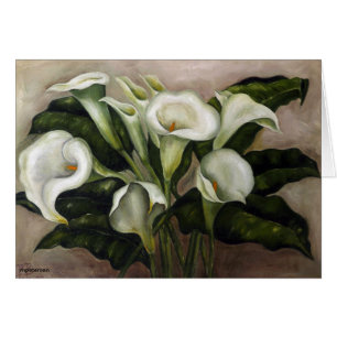 Zantedeschia