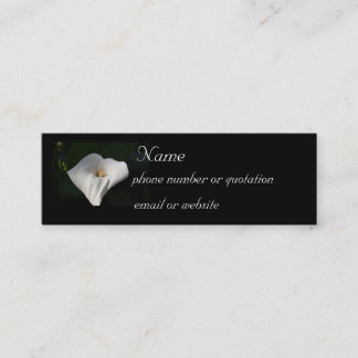 Zantedeschia - carte de profil