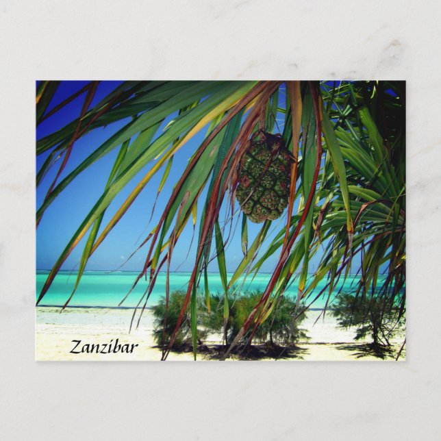 Zanzibar Beach Palm Trees, Afrique Carte postale (Devant)