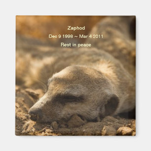 Zaphod_Rest im Friedensmagneten Magnet