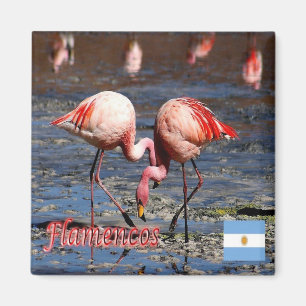 zAR033 ARGENTINA, Puna Flamingos, Amerika, Kühlsch Magnet