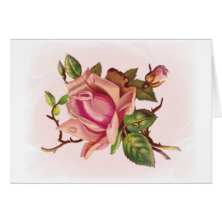 Zart Rosa Rosen individuell anpassbare Karten