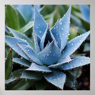 Zarte Agave Botanische Fotorealistische Digitalkun Poster