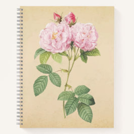 Zarte Frankreich Rose  Notizbuch