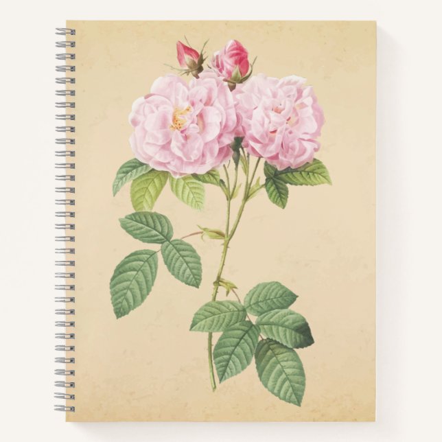 Zarte Frankreich Rose  Notizbuch (Vorderseite)