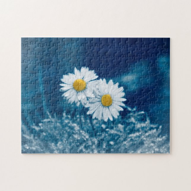 Zarte Gänseblümchen (Horizontal)