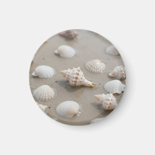 Zarte Muscheln Strand Serenität Magnet