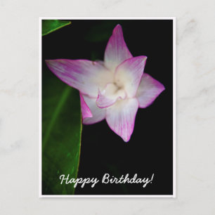 Zarte rosa Blüten Glückliches Geburtstag Postkarte