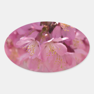 Zarte rosa Sakura-Kirschblüten Bouquet Ovaler Aufkleber