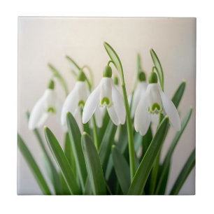 Zarte weiße Schneeglöckchen-Blumen Frühjahrsblüte Fliese