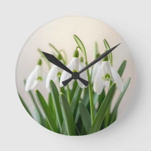 Zarte weiße Schneeglöckchen-Blüten Frühlingsblüte Runde Wanduhr
