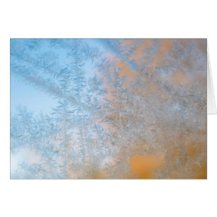 Zartes Frostmuster, Wisconsin