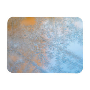 Zartes Frostmuster, Wisconsin Magnet