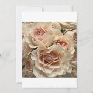 Zartes Rosenbouquet in Blush-Rot Grußkarte Romanti Einladung