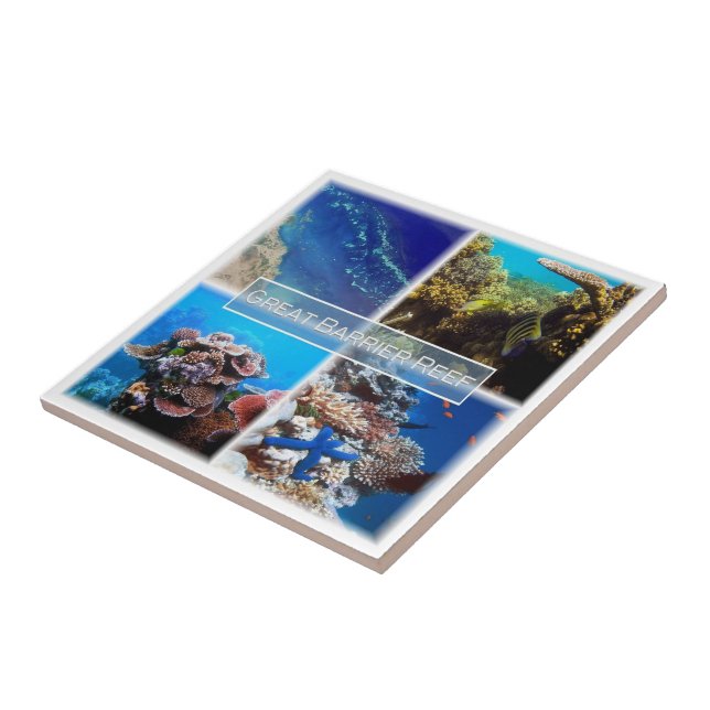 zAU011 THE GREAT BARRIER REEF, Australien, Fliese (Seite)