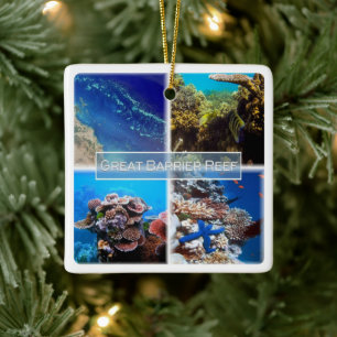 zAU011 THE GREAT BARRIER REEF, Australien, Keramikornament