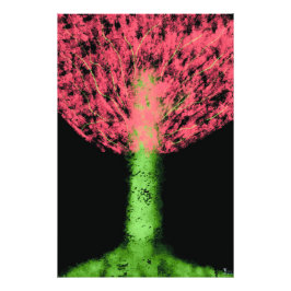 Zauberbaum Fotodruck