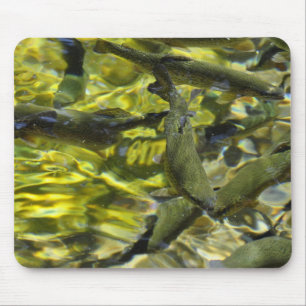 Zauberer fällt Fisch-Brutplatz Mousepad
