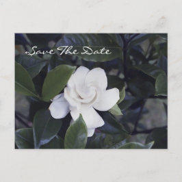 Zauberhafte Gardenia Save The Date Postkarte