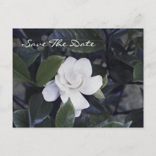 Zauberhafte Gardenia Save The Date Postkarte