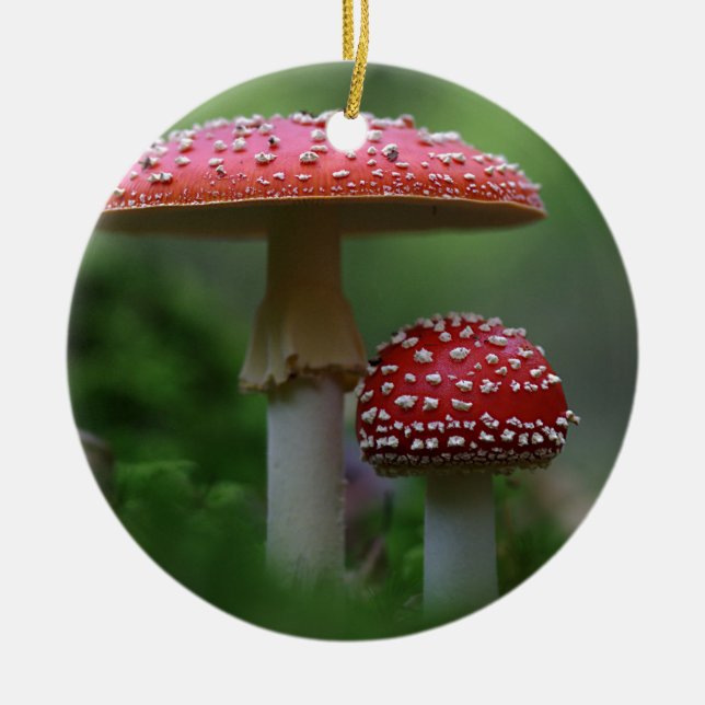 Zauberhafte Pilze-Ornament-Runde Keramik Ornament (Vorne)