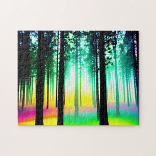 Zauberhafter Regenbogenwald