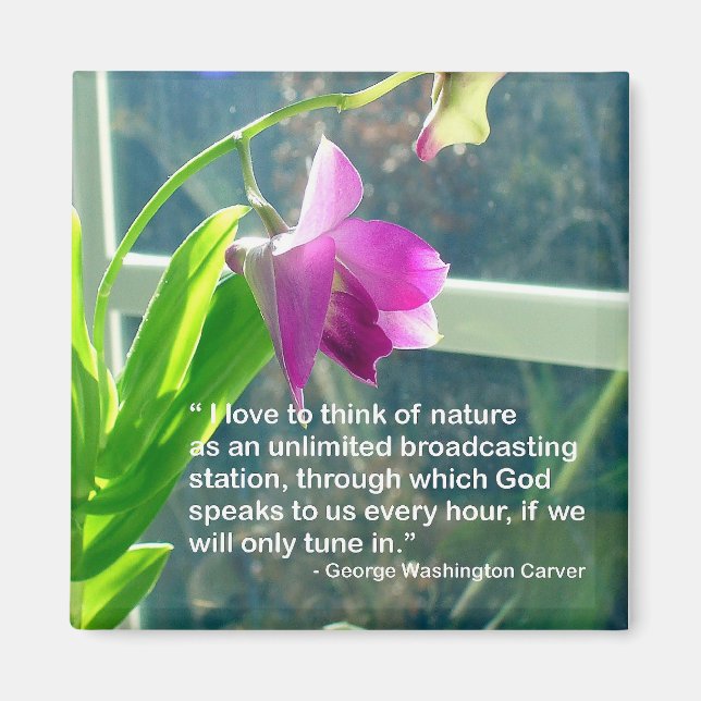 Zaubermagazin Magnet (Vorne)